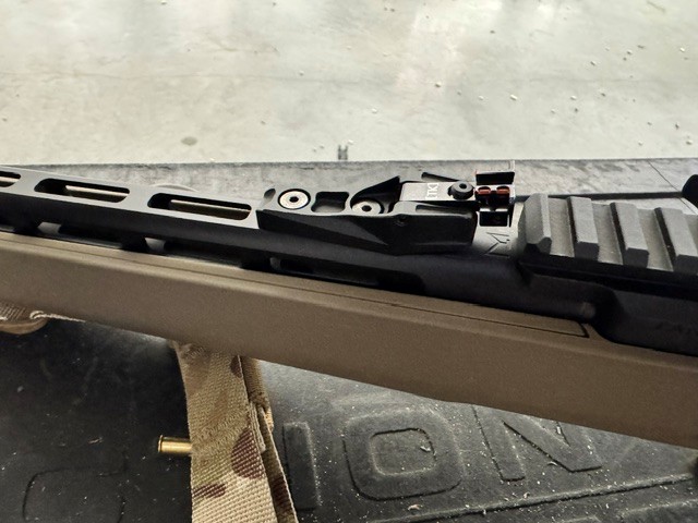 Rear sights photo